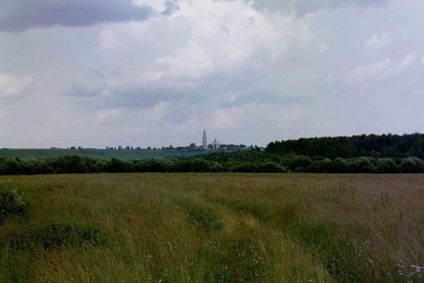 Вид на село Тетеринское